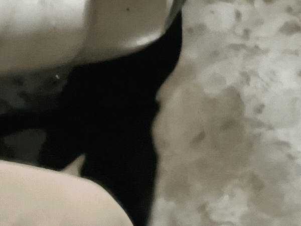 NC03 Fenderių valiklis